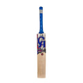 CA Gold 3000 Cricket Kit