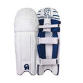 CA Gold 3000 Cricket Kit