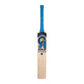 CA Gold 17 Cricket Bat