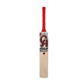 CA Gold 5000 Cricket Kit
