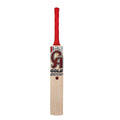 CA Gold 5000 Cricket Bat (New)