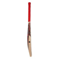 CA Gold 5000 Cricket Bat (New)