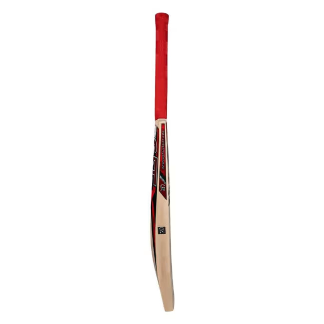 CA Gold 5000 Cricket Bat (New)