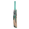 CA Gold 8000 Cricket Bat