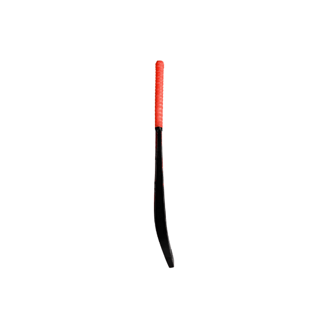 CA GOLD Fighter Cricket Bat