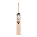 CA Gold 20K Cricket Kit