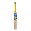 CA Gold 1000 Bat