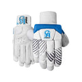 CA Pro Performance Cricket Kit