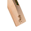 HS Titan Cricket Bat