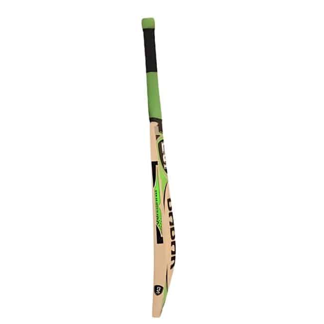 BS Gold 999 Bat