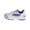 CA 15K LE Shoes (Blue)