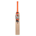 CA Charge Cricket Kit
