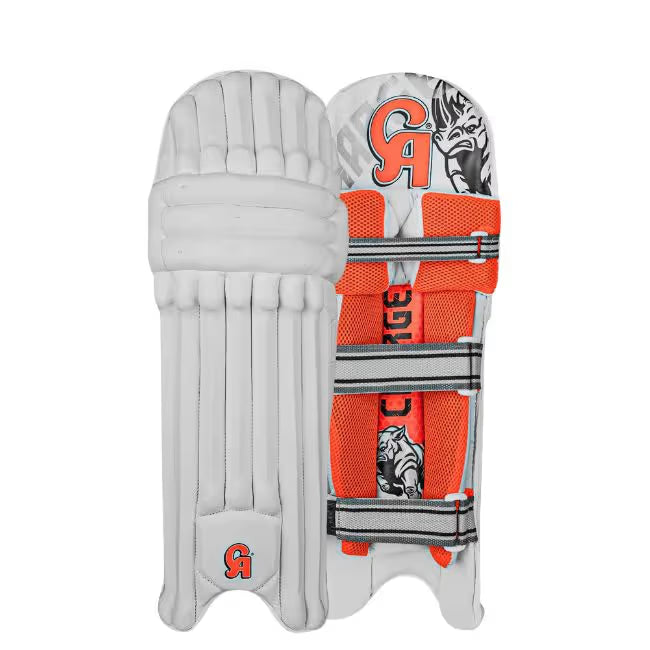 CA Charge Cricket Kit