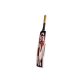 CA GOLD Smash 8000 Cricket Bat