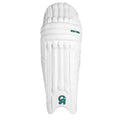 CA Gold 10000 Cricket Kit