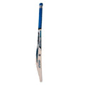 CA Gold 10000 Cricket Bat