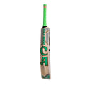 CA Gold 16000 Bat