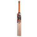 CA Gold 2000 Bat