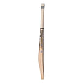 CA Gold 20K Cricket Bat