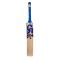 CA Gold 3000 Cricket Bat