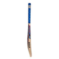 CA Gold 3000 Cricket Bat