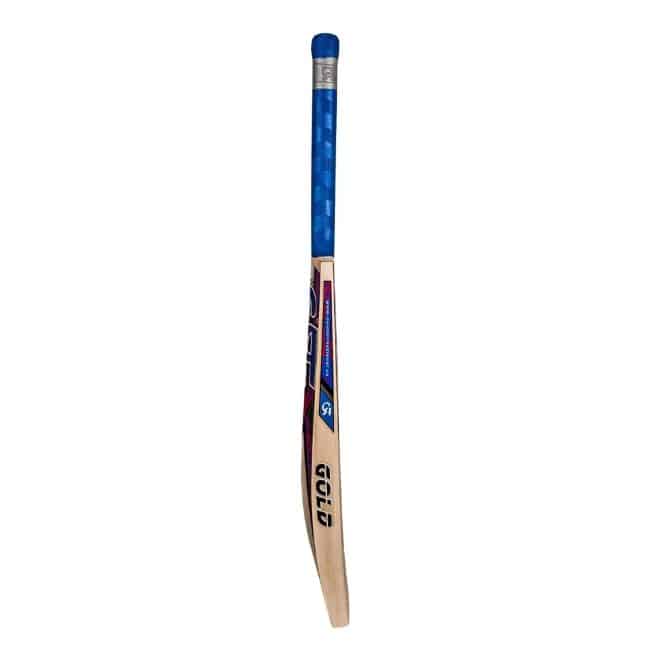 CA Gold 3000 Cricket Bat