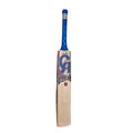CA Gold 3000 Cricket Bat