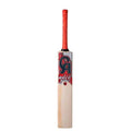 CA Gold 5000 Cricket Bat