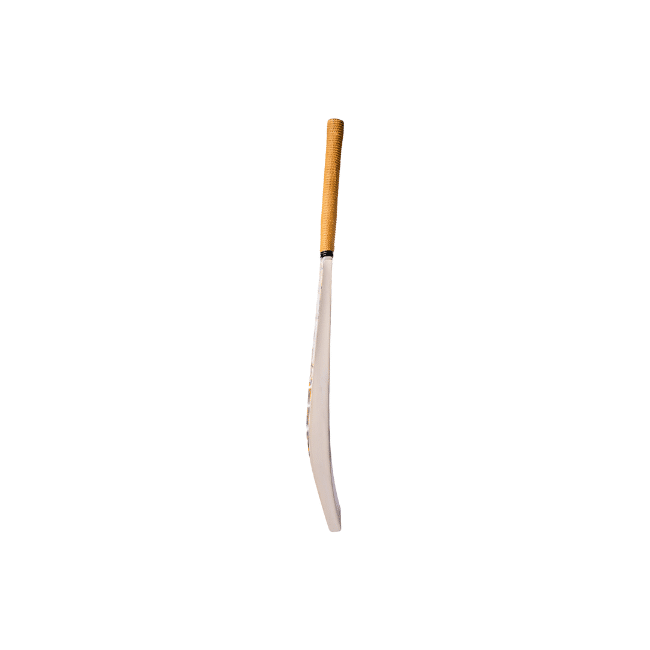 CA Gold Dragon Cricket Bat