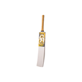 CA Gold Dragon Cricket Bat