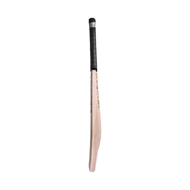 CA Gold Legend Bat