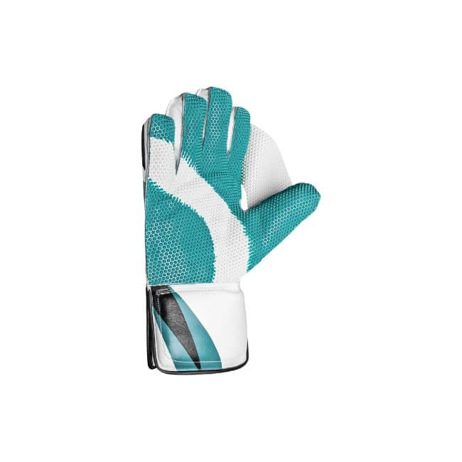 CA GOLD 10000 WK Gloves