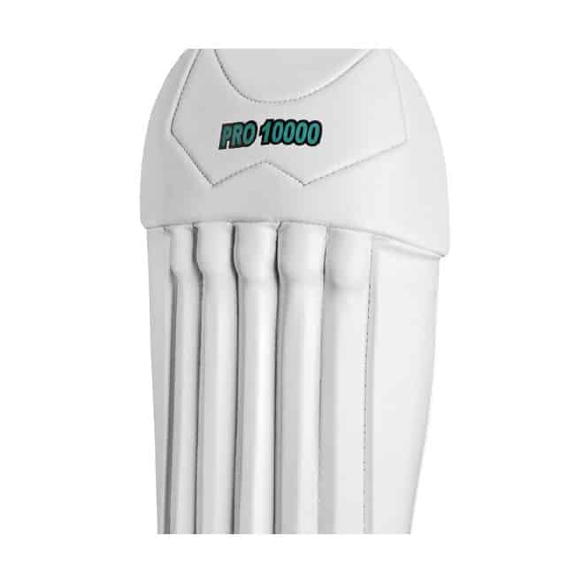 CA PRO 10000 WK Pads