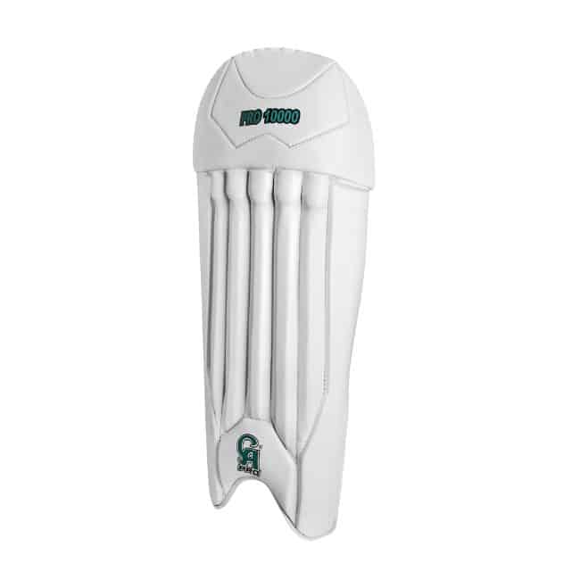 CA PRO 10000 WK Pads