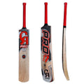 CA PRO 17 Red Cricket Bat
