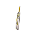 CA PRO Force 10000 Cricket Bat