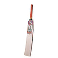 CA PRO King Cricket Bat