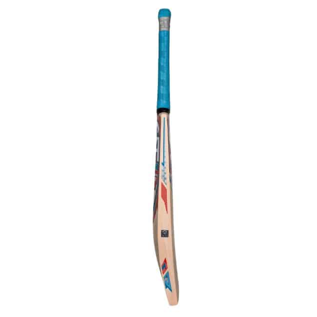 CA Pro 5000 Performance Cricket Bat