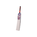 CA PRO Presedent Cricket Bat