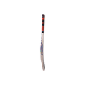 CA PRO Presedent Cricket Bat