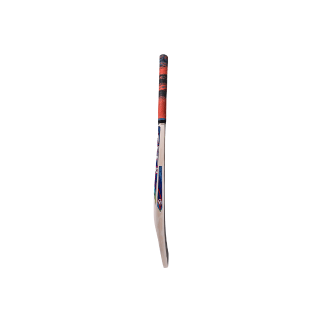 CA PRO Presedent Cricket Bat