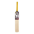 CA PRO Super Sword Cricket Bat