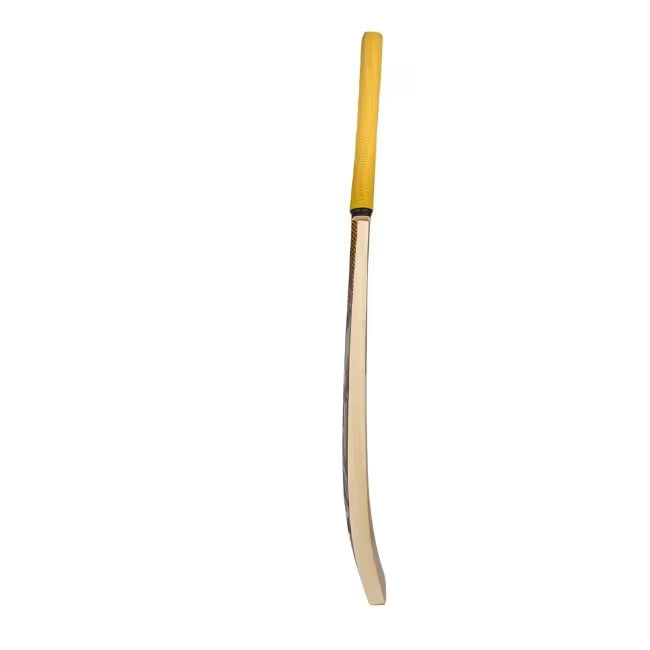 CA PRO Super Sword Cricket Bat