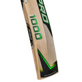 CA Pro 1000 Cricket Bat