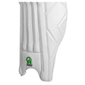 CA Pro 15000 Batting Pads