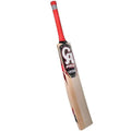 CA Pro 12000 Cricket Bat