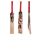 CA Pro 15000 Performance Bat