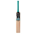CA Pro 2000 Cricket Bat