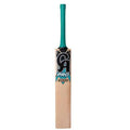 CA Pro 2000 Cricket Kit