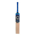 CA Pro 2K Cricket Bat